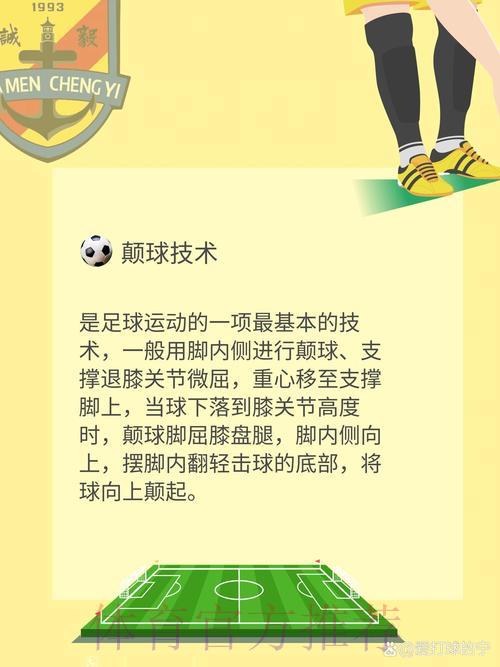 足球世界杯控球技巧精髓 足球世界杯控球技巧精髓